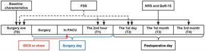 Efficacy of transcranial direct current stimulation for improving postoperative quality of recovery in elderly patients undergoing lower limb major arthroplasty: a randomized controlled substudy